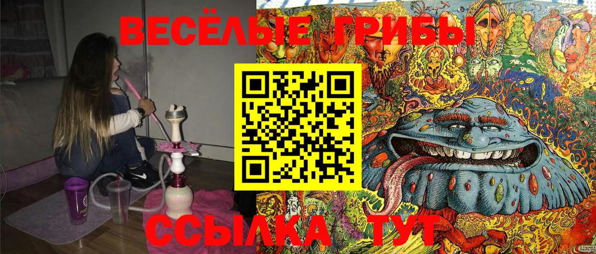 Псилоцибиновые грибы MAGIC MUSHROOMS  Псилоцибиновые грибы Psilocybine cubensis  Торжок  купить  цена  Вход с VPN 