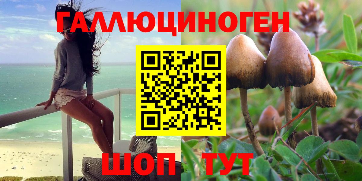 Псилоцибиновые грибы мухоморы Торжок